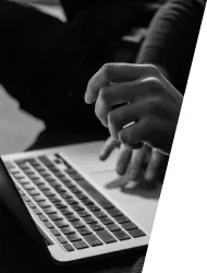 Webサイト運営事業